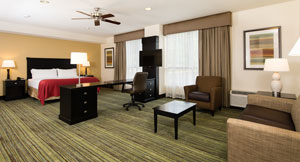 Holiday Inn Wilmington Studio Suite