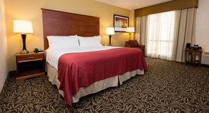 King Room at Holiday Inn Wilmington