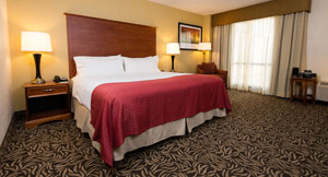 Holiday Inn Wilmington Rooms